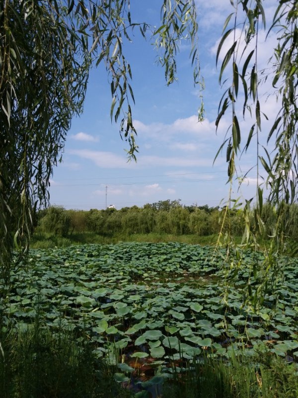 1589446153886487.jpg 微信圖片_20200514163927.jpg